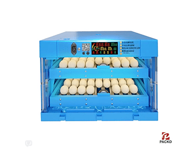 128 Egg Capacity Ac & Dc Dual Powered A-Series Incubator