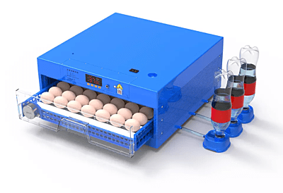 64 Egg Capacity Ac & Dc Dual Powered Incubator